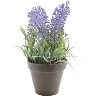 👉 Groene Lavandula lavendel kunstplanten 17 cm met zwarte pot