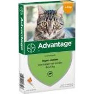 👉 Pipet 2 x 4 Pipetten AdvantageÂ® 40 voor katten van minder dan kg - Dubbelpak 4007221047407