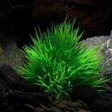 👉 Ornament groen active Aquarium Aquatische Simulatie Plant Decoratie Kunstmatig Water Gras, Afmeting: 10.0x10.0cm (Groen)