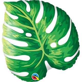 👉 Folieballon folie active tropical gatenplant (53cm)