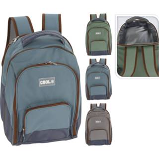 👉 Unisex assorti ML Koelrugzak 12L 8719987873416