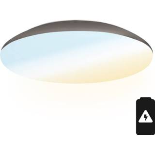 👉 Plafondlamp RVS kunststof LED met noodaccu 18W Lichtkleur instelbaar - 1900lm IK10 Ø30 cm IP65 8720365421013