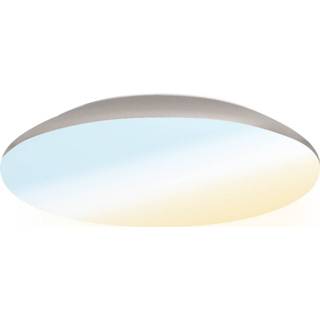 👉 LED Plafondlamp 18W Lichtkleur instelbaar - 1900lm - IK10 - Ø30 cm - Chroom - IP65