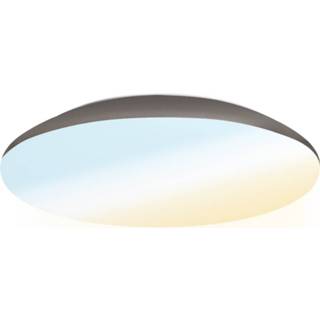 👉 LED Plafondlamp 12W Lichtkleur instelbaar - 1200lm - IK10 - Ø25 cm - RVS - IP65