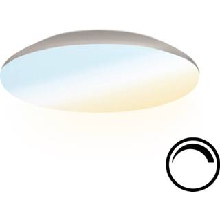 Plafondlamp chroom kunststof Dimbare LED 12W Lichtkleur instelbaar - 1200lm IK10 Ø25 cm IP65 8720365420795