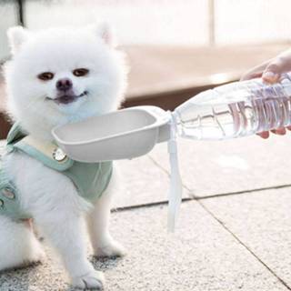 👉 Pet Square Bowl Drinking Head Cat Portable Begeleidende Cup Dog Drinking Fountain (grijs)