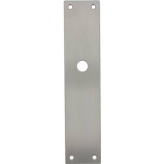 👉 Intersteel Schild renovatie rechthoekig 250 x 55mm x 2mm blind RVS