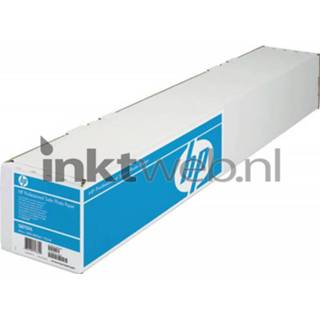 👉 Fotopapier wit HP Q8759A Professional Zijdeglans | 1 stuks 300 gr/m² 848412013542