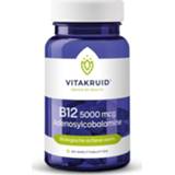 👉 Active Vitakruid B12 Methylco 5000 Mcg 60 tabletten 8717438690964