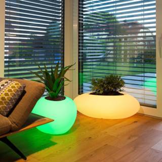👉 Wit doorzichtig polyethyleen IOS app a+ Decoratielamp Storus VI LED RGBW, beplantbaar