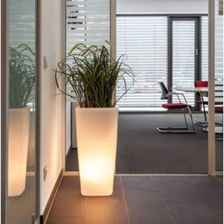 👉 Wit doorzichtig polyethyleen Decoratielamp Trevia V beplantbaar