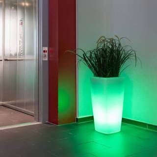 👉 Wit doorzichtig polyethyleen IOS app a+ Decoratielamp Trevia V LED RGBW, beplantbaar