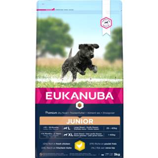 Eukanuba Developing Junior Large Breed Kip - Hondenvoer - 3 kg