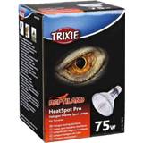 👉 Warmtelamp tin pakket terrarium Trixie reptiland heatspot pro halogeen 75 WATT 8,1X8,1X10,8 CM 4011905760148