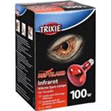 👉 Warmtelamp tin pakket terrarium rood Trixie reptiland infrarood 100 WATT 8X8X10,8 CM 4011905760971
