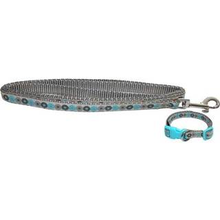 👉 Puppy halsband blauw tin Little rascals met lijn 22,5-36 CM