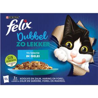 👉 Kattenvoer Felix Multipack Dubbel Zo Lekker Vis In Gelei - Koolvis Haring Zalm 12x85 g 7613039850411