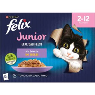 👉 Kattenvoer Felix Multipack Elke Dag Feest Mix Selectie In Gelei Junior - Tonijn Kip Zalm 12x85 g 7613039850855