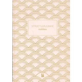 👉 Notitieboek roze Structuurjunkie (roze) - Cynthia Schultz (ISBN: 9789463492829) 9789463492829