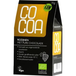 Rozijn active Cocoa Ballen Raw Food Bio 70 gr 5902768064537