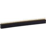 👉 Active 100 STKS 2.0mm 2x40 Pin Dubbele Rij Header Strip