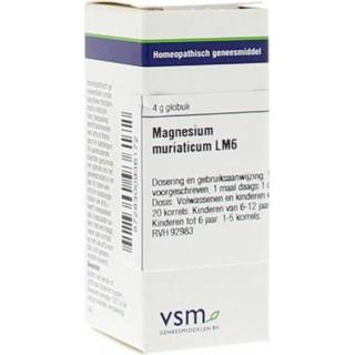 👉 Magnesium VSM muriaticum LM6 4 gram 8728300936172