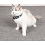 👉 Handdoek blauw small s active Pet Speeksel Fresh Cat and Dog Slabbetje, Maat: (Blue Star)