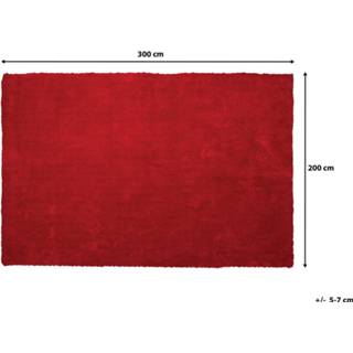 👉 Vloerkleed rood 200 x 300 cm DEMRE 4260602376835