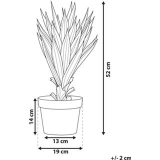 👉 Kunstplant groen 52 cm ALOE VERA 4251682243650