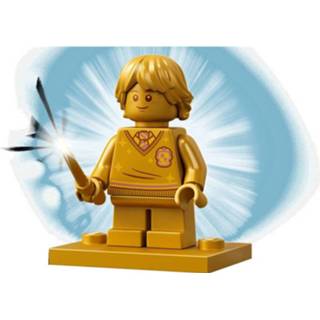 👉 LEGO Harry Potter Zweinsveld Dorpsbezoek (76388) 5702016913675