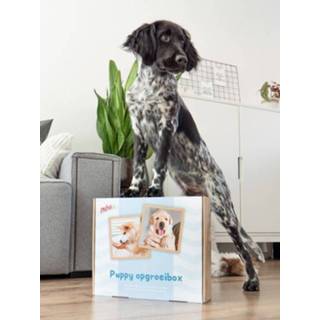 👉 Hondenvoer Prins Opgroeibox ProCare Protection Puppy - 3 kg 8713595191887