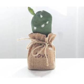 👉 Ornament linnen active Simulatie Cactus Plant Ingemaakte Letters Desktop Ornamenten (Cactus B)