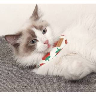 👉 Small m active Kleine kat en hond Algemeen Fresh Style Fruitsjaal Pet Speekselhanddoek, Maat: (Aardbei)