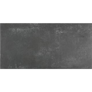👉 Vloertegel antraciet Alaplana P.E. Slipstop Lecco Grafito Mat 60x120 cm 8719304919346