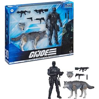 👉 Hasbro G.I. Joe Classified Series Snake Eyes & Timber: Alpha Commandos Action Figures 5010993860418