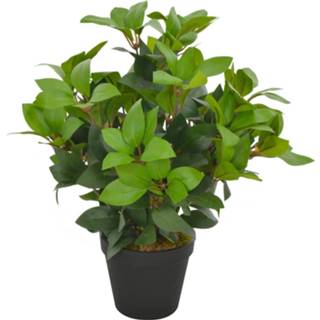👉 Kunstplant active groen met pot laurierboom 40 cm 8719883553375