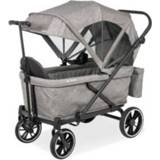 👉 Trolley jongens grijs Pinolino opvouwbare scooter 'Cruiser PI 500'. 4035769052256