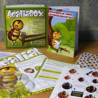 👉 School pakket Schoolpakket lieveheersbeestjes