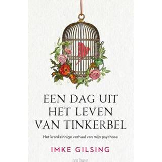 Een dag uit het leven van Tinkerbel - Imke Gilsing (ISBN: 9789025908911) 9789025908911