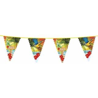 👉 Vlaggenlijn polyester multikleur Hawaii Thema 6 Meter - Slingers Decoratie Feestartikelen 8719538179936