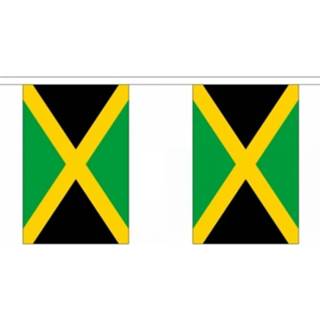 👉 Vlaggenlijn polyester multikleur Luxe Jamaica 9 m 8718758343417