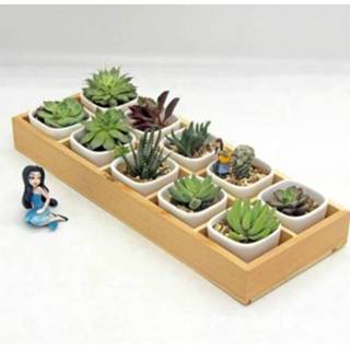 👉 Opbergdoos houten active Succulente landschapstuindecoratie, specificatie: 10 cellen