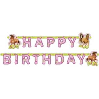 👉 Slinger roze papier Amscan Happy Birthday 183 X 16 Cm 4009775272540