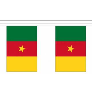 👉 Vlaggenlijn polyester multikleur Kameroen 9 m 8718758343332