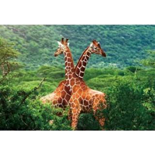 👉 Placemat kunststof multikleur Giraffe 3d 28 X 44 Cm 8718758946878