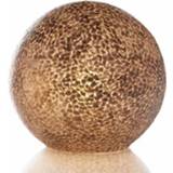 👉 Villaflor Tafellamp Shell Ball Gold 30cm �