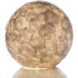 👉 Tafellamp cr�me Villaflor Full Shell Ball 40cm � 8719558390700