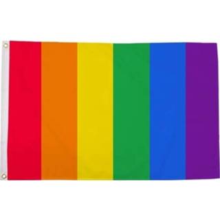 👉 Vlag multi polyester active Feestartikelen Amsterdam pride 90 x 150 cm regenboog verticale strepen