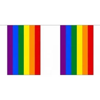 👉 Vlaggenlijn polyester multikleur Vierkante regenboog/ rainbow 18 m - Feestartikelen 8719538575271