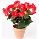 👉 Kunstplant roze active Begonia 30 cm